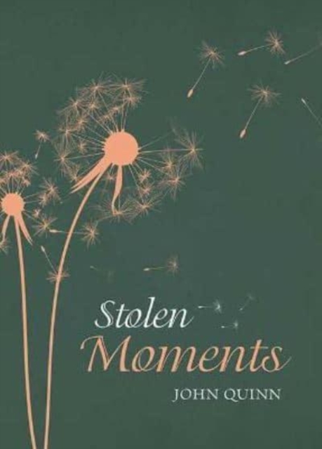 Stolen Moments, Hardback Book