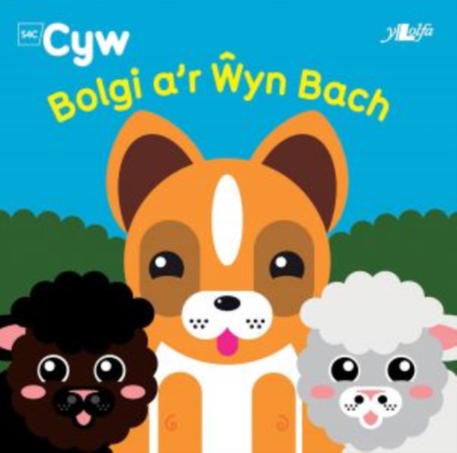 Cyfres Cyw: Bolgi a'r Wyn Bach, Paperback / softback Book