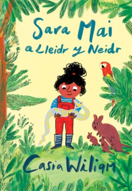 Sara Mai a Lleidr y Neidr, Paperback / softback Book