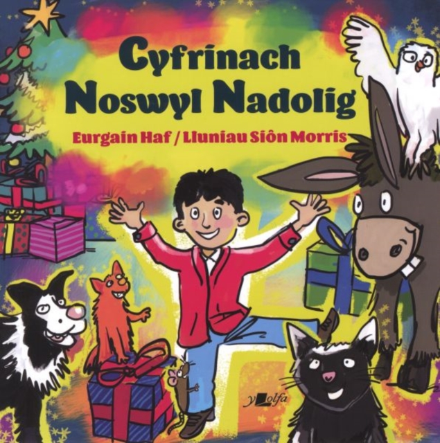 Cyfrinach Noswyl Nadolig, Paperback / softback Book
