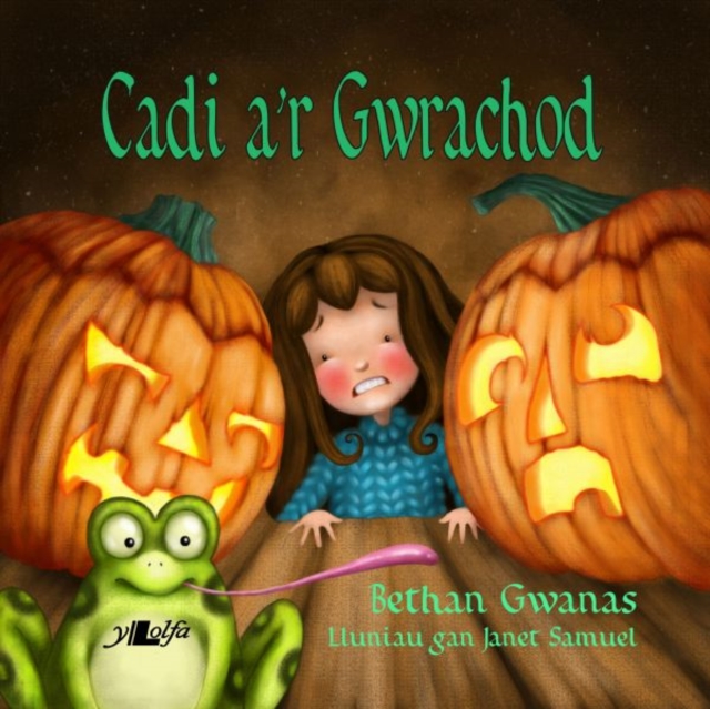 Cadi a'r Gwrachod, Hardback Book