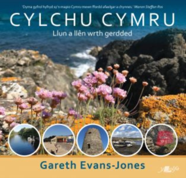 Cylchu Cymru, Paperback / softback Book