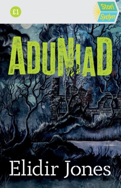 Stori Sydyn: Aduniad, Paperback / softback Book