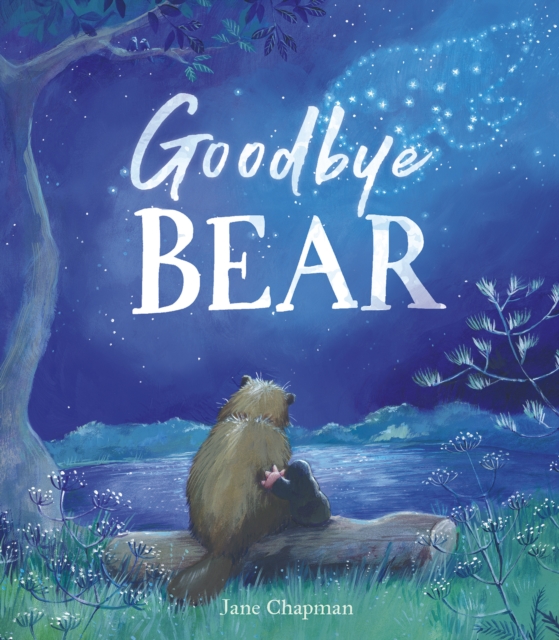 Goodbye Bear, Hardback Book