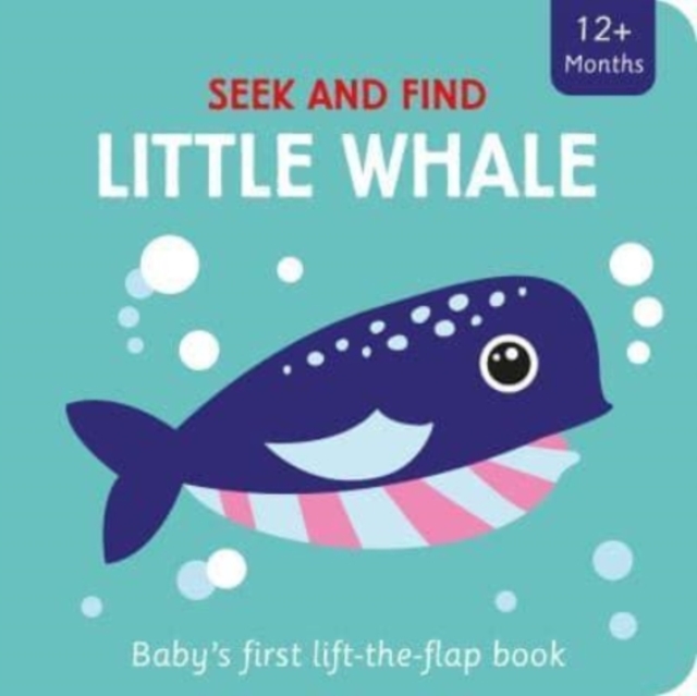 Little Whale, Board book Book