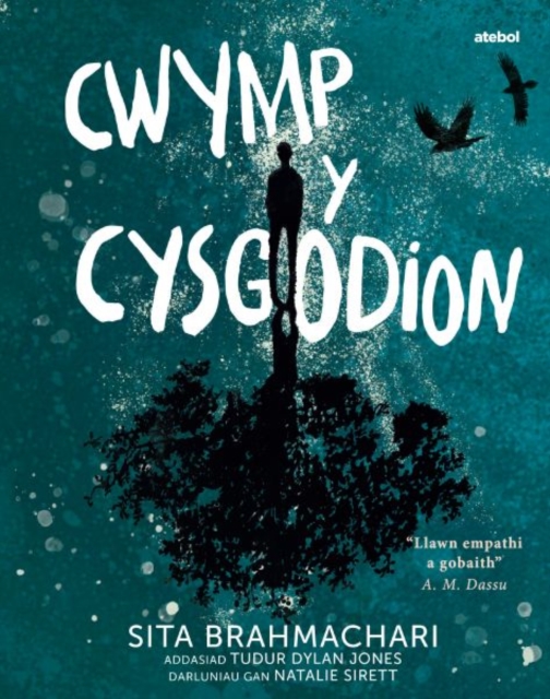 Darllen yn Well: Cwymp y Cysgodion, Paperback / softback Book