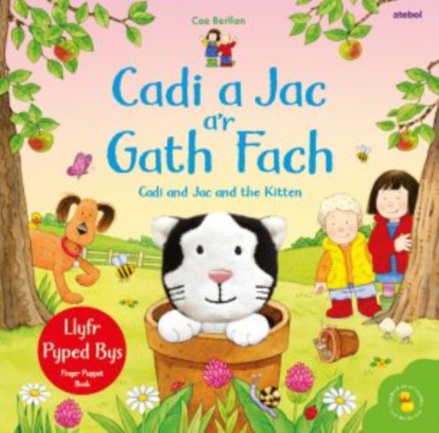 Cadi a Jac a’r Gath Fach / Cadi and Jac and the Kitten, Hardback Book