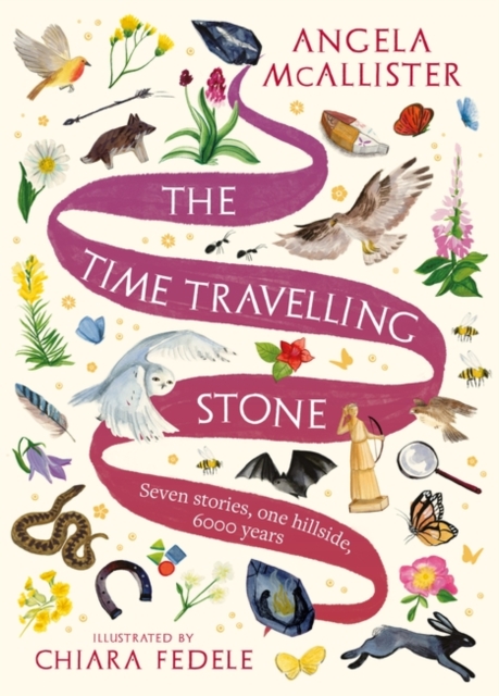 The Time Travelling Stone : Seven stories, one hillside, 6000 years, Paperback / softback Book