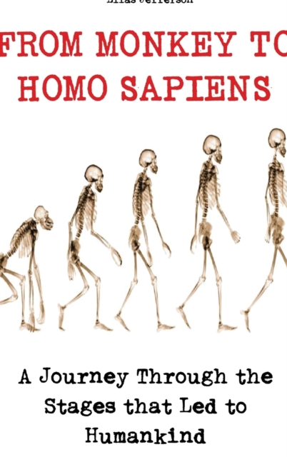 From Monkey to Homo Sapiens : A Journey Through the Stages that Led to Humankind, Hardback Book