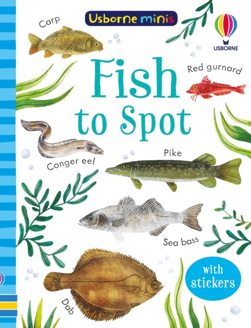 Fish to Spot, Paperback / softback Book