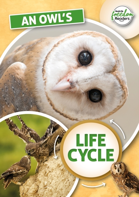 An Owl's Life Cycle, Paperback / softback Book