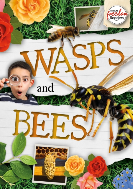 Wasps and Bees, Paperback / softback Book