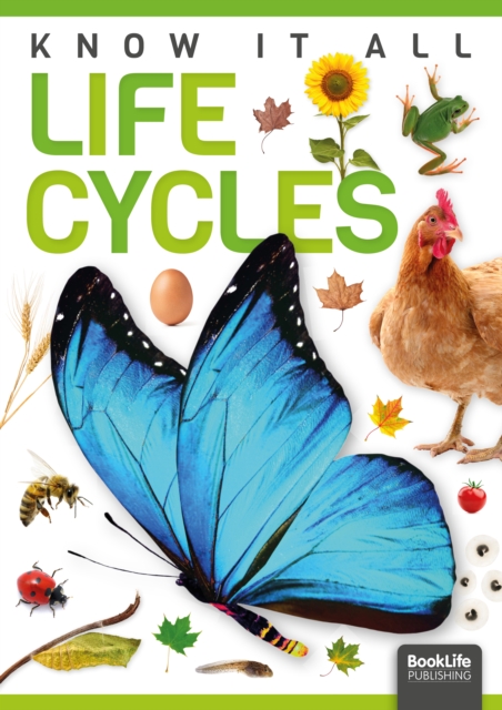 Life Cycles, Paperback / softback Book