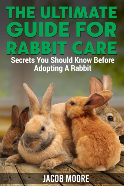 The Ultimate Guide for Rabbit Care : Secrets You Should Know Before Adopting A Rabbit, Paperback / softback Book