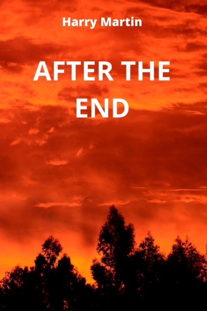 After the End, Paperback / softback Book