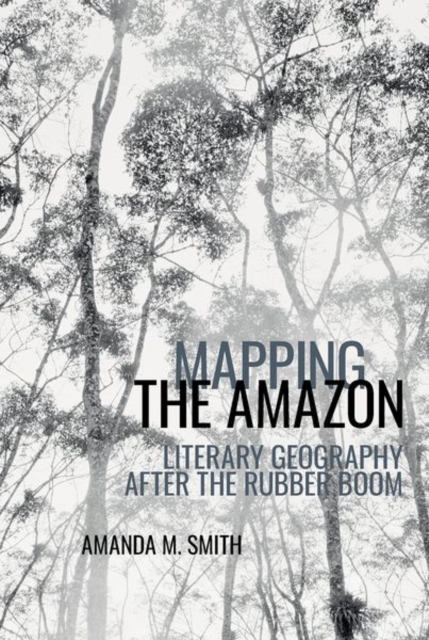 Mapping the Amazon : Literary Geography after the Rubber Boom, Paperback / softback Book