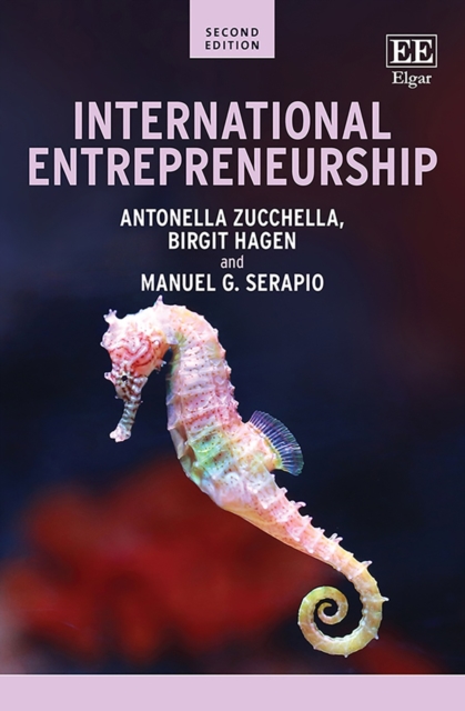 International Entrepreneurship : Second Edition, PDF eBook
