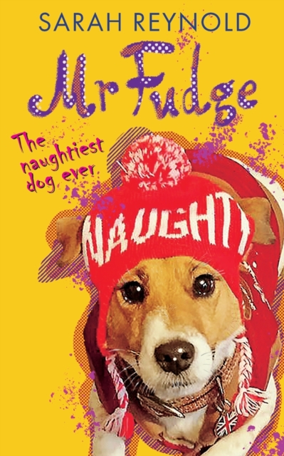 Mr Fudge, Paperback / softback Book