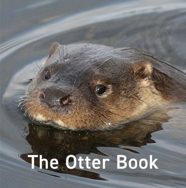 The Otter Book, EPUB eBook