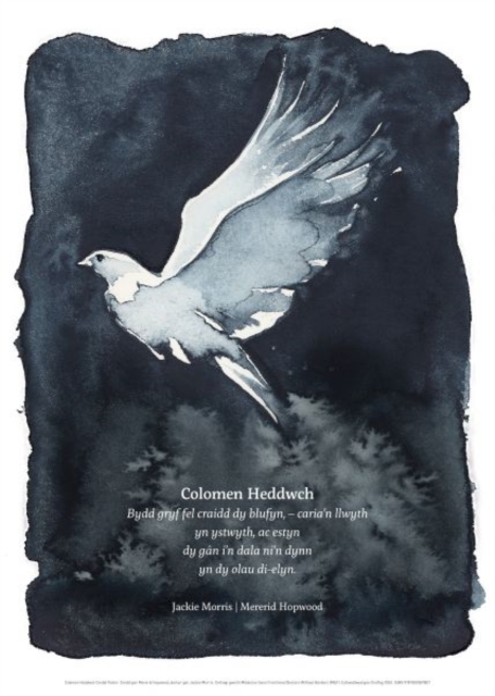 Poster Colomen Heddwch, Poster Book