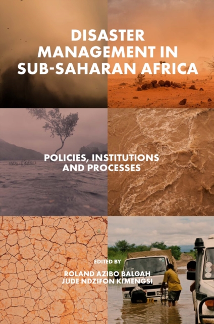 Disaster Management in Sub-Saharan Africa : Policies, Institutions and Processes, PDF eBook