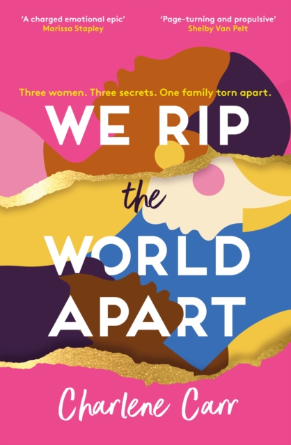 We Rip the World Apart : A sweeping story about motherhood, race and secrets, EPUB eBook