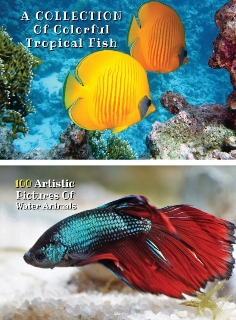 A Collection of Colorful Tropical Fish - 100 Artistic Pictures of Water Animals - Full Color HD : Professional Photo Album - The Best Animal Pictures And Art Images Ideas - Rigid Cover Version - Engli, Hardback Book