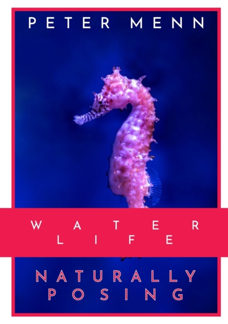 Water Life : This book features a series of shots of some of the most astonishing aquatic life forms, showing off their majestic moves, colours, and shapes. FDive with your imagination thanks to this, Paperback / softback Book