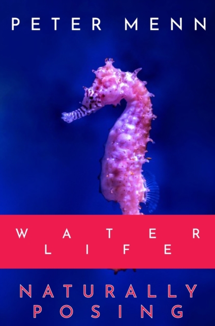 Water Life, Hardback Book