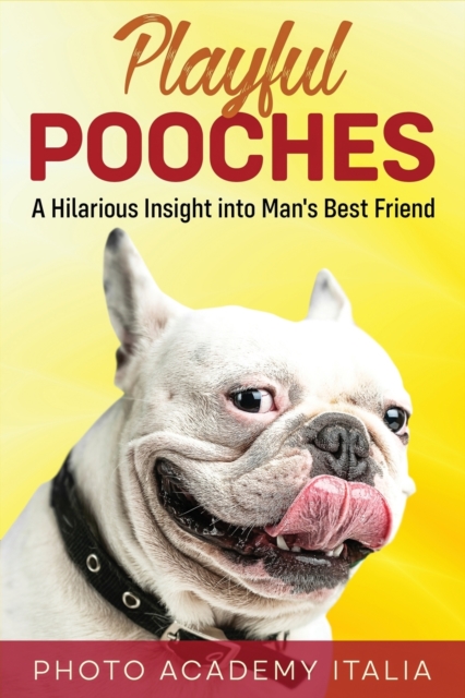 Playful Pooches : A Hilarious Insight into Man's Best Friend, Paperback / softback Book