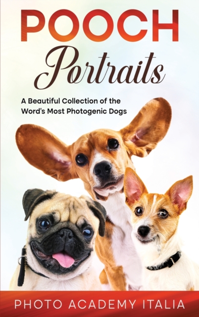 Playful Portraits : A Beautiful Collection of the Word's Most Photogenic Dogs, Hardback Book