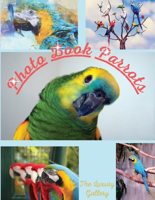 Photo Book Parrots : The Best Selection of 50 Exotic Parrot Photos from the Best Photographers in Manhattan, Paperback / softback Book