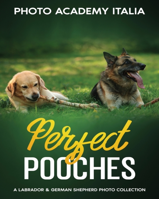 Perfect Pooches : A Labrador and German Shepherd Photo Collection, Paperback / softback Book