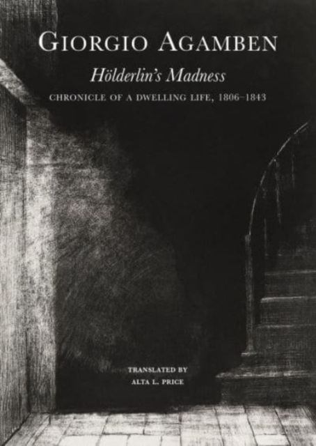 Holderlin’s Madness : Chronicle of a Dwelling Life, 1806–1843, Paperback / softback Book