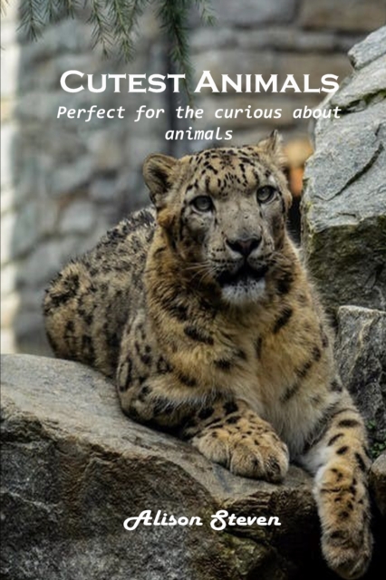 Cutest Animals : Perfect for the curious about animals, Paperback / softback Book