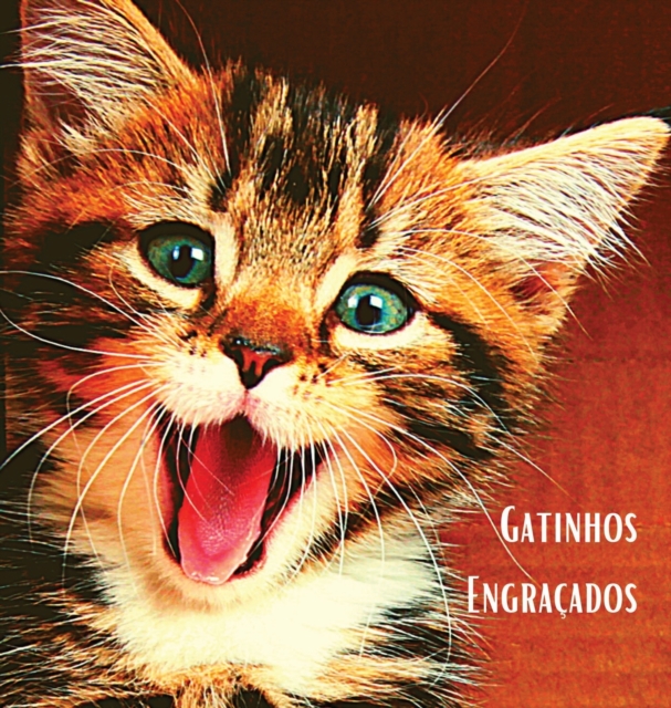 Gatinhos Engracados : Album de fotografias a cores com belos gatinhos. Ideia de prenda para os amantes de gatos pequenos e da natureza. Livro fotografico com retratos em grande plano de gatinhos que d, Hardback Book