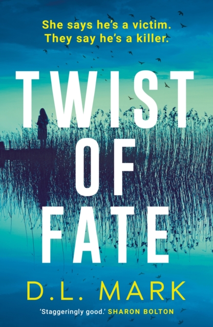 Twist of Fate, Paperback / softback Book