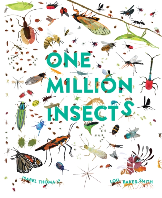 One Million Insects, Paperback / softback Book