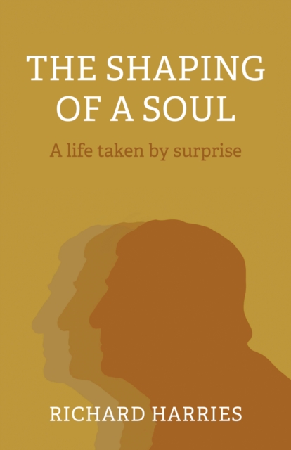 Shaping of a Soul : A Life Taken by Surprise, EPUB eBook