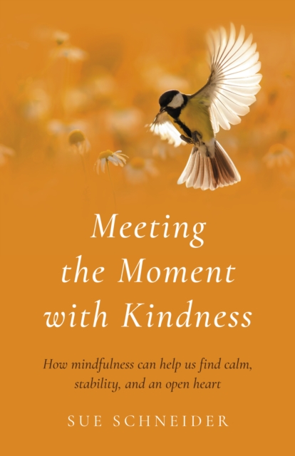 Meeting the Moment with Kindness : How mindfulness can help us find calm, stability, and an open heart, Paperback / softback Book