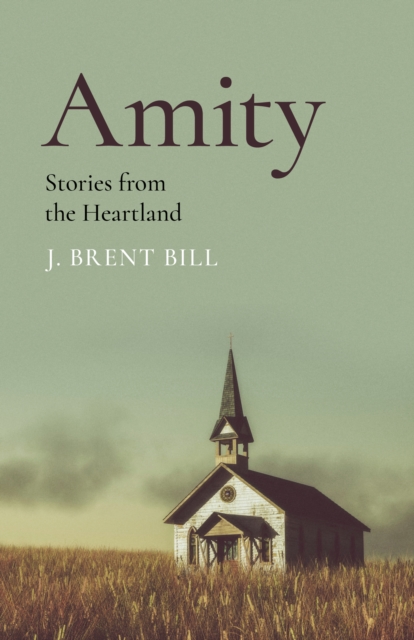 Amity : Stories from the Heartland, EPUB eBook
