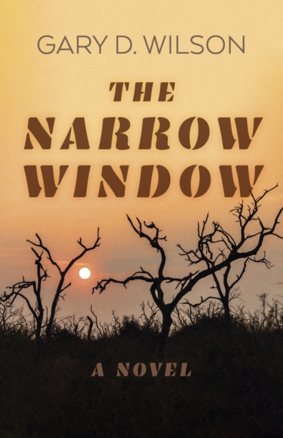 Narrow Window, The - A Novel, Paperback / softback Book