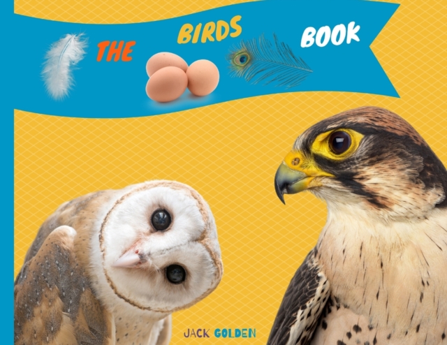 The Birds Book : Explain Interesting and Fun Topics about Animals to Your Child, Paperback / softback Book