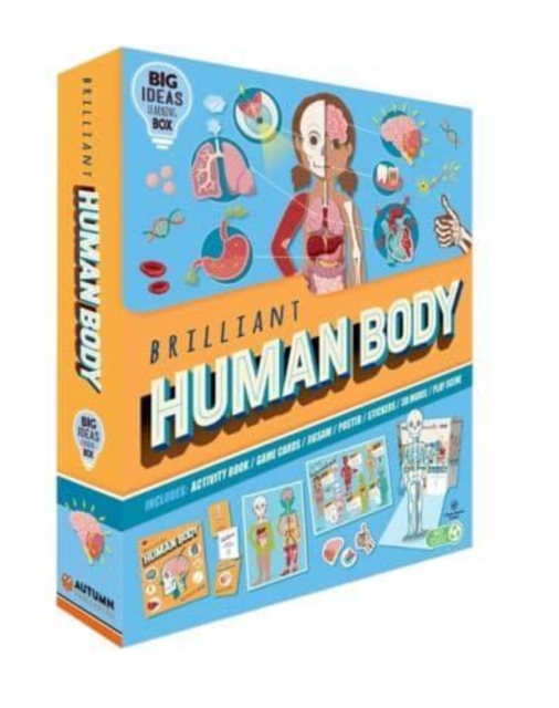 Brilliant Human Body, Paperback / softback Book