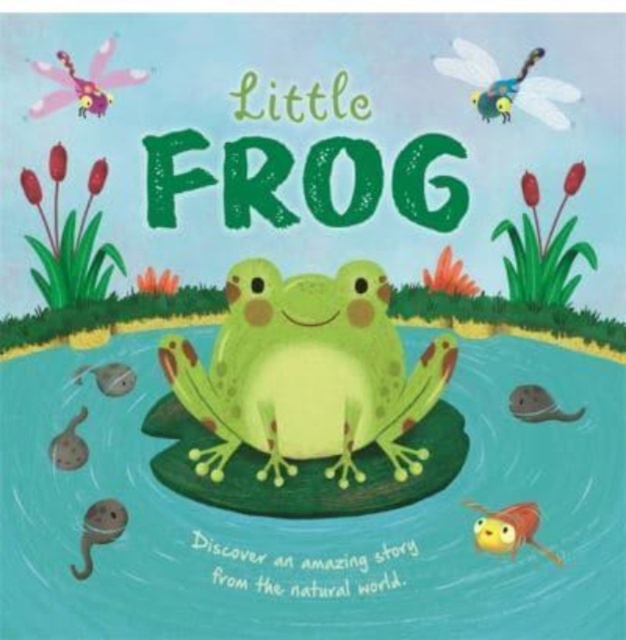 Little Frog, Hardback Book