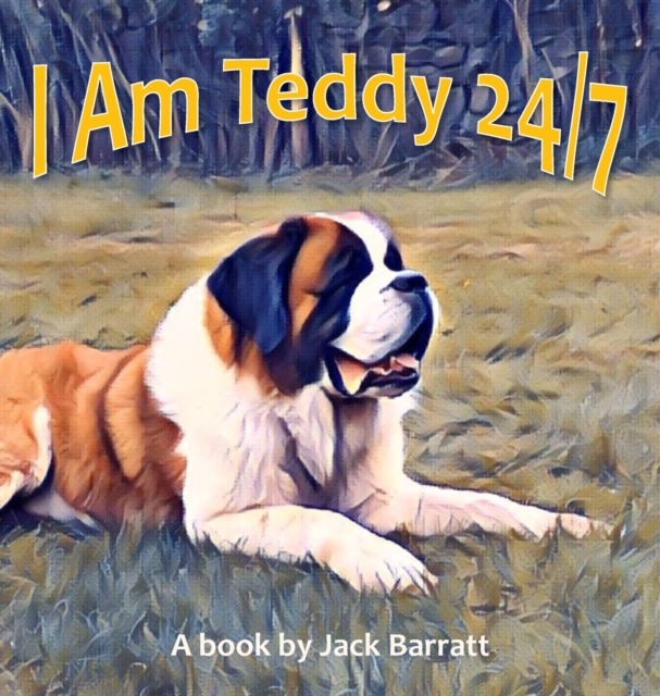 I Am Teddy 24/7, Hardback Book