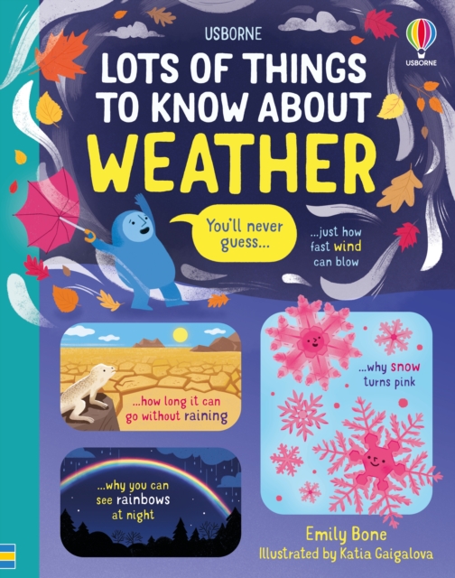 Lots of Things to Know About Weather, Hardback Book