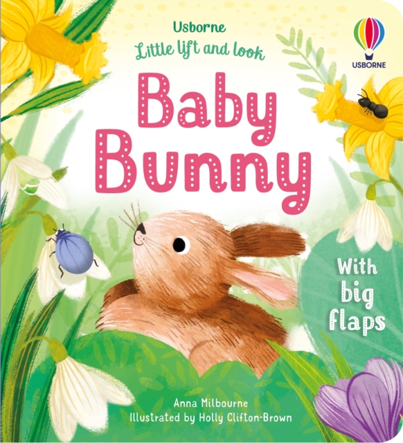 Little Lift and Look Baby Bunny, Board book Book