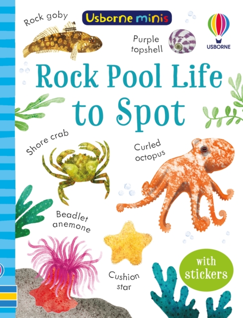 Rock Pool Life to Spot, Paperback / softback Book