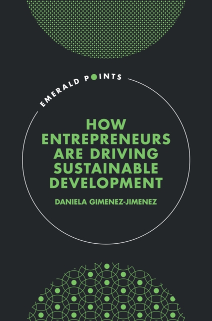 How Entrepreneurs are Driving Sustainable Development, Hardback Book